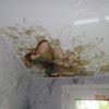 арт-печать на белом глянце