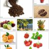для кухни